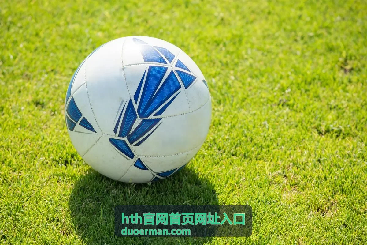 hth官网首页网址入口入口导航指引频道配图